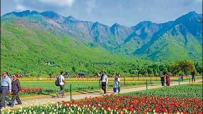 Jammu and Kashmir is peaceful: DGP (Shutterstock)