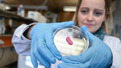 Researchers are also working on producing meat using 3D printers, such as in this lab in Reutlingen, Germany (Bernd Weißbrod/dpa/picture alliance) Researchers are also working on producing meat using 3D printers, such as in this lab in Reutlingen, Germany (Bernd Weißbrod/dpa/picture alliance)