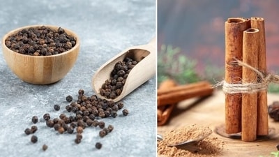 Metabolism can be increased by making certain dietary changes.Dietitian Manpreet Kalra shares top foods that can help boost metabolism. (Freepik) Metabolism can be increased by making certain dietary changes.Dietitian Manpreet Kalra shares top foods that can help boost metabolism. (Freepik)