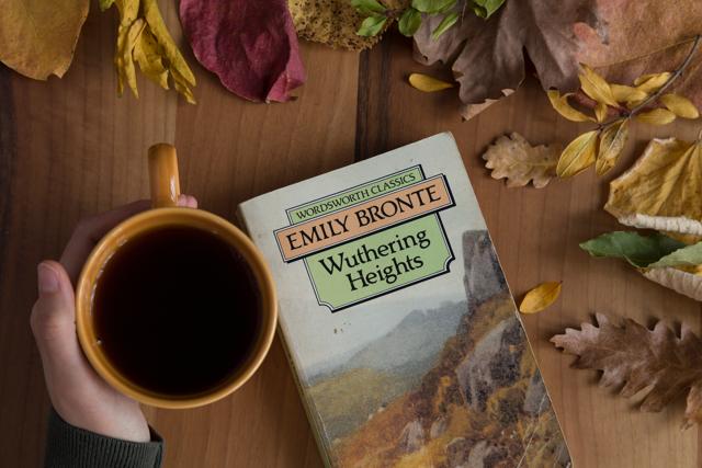 Initially published under the pen name Ellis Bell, Wuthering Heights impressed and appalled early reviewers. (Fertas/Shutterstock) Initially published under the pen name Ellis Bell, Wuthering Heights impressed and appalled early reviewers. (Fertas/Shutterstock)