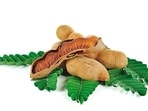 "In the vibrant world of superfoods, there is one gem that often goes unnoticed—the humble tamarind. This unassuming fruit not only adds a tangy twist to our dishes but also packs a nutritional punch that is worth celebrating," says Nutritionist Lovneet Batra in her recent Instagram post.
