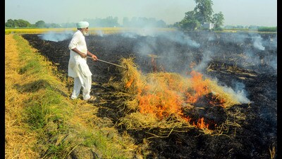 A farmer burns paddy stubble in a village near Patiala, Friday. (PTI) A farmer burns paddy stubble in a village near Patiala, Friday. (PTI)