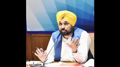 Chief minister Bhagwant Mann (Sourced)