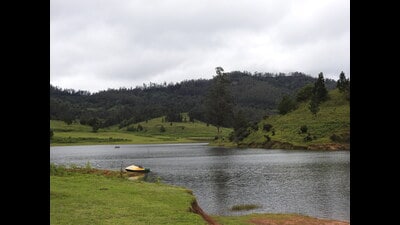 Paradise lost: Kodaikanal (HT Photo)