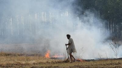Punjab and Haryana grapple with a stubble burning problem every paddy harvest season. (HT File)