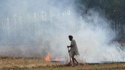 The total figure is nearly three times the fires recorded till October 6 last year, according to state data. (HT File) The total figure is nearly three times the fires recorded till October 6 last year, according to state data. (HT File)