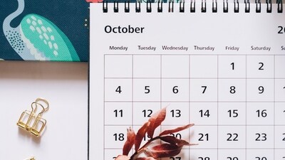 Read your Weekly Oracle Guidance for Aries to Pisces from October 6-12, 2023. (Pexels)
