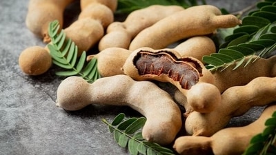 Tamarind is a good source of antioxidants, especially vitamin C, flavonoids, carotenes, vitamin B complex. It helps in improving and strengthening the immune system.&nbsp; (Freepik)