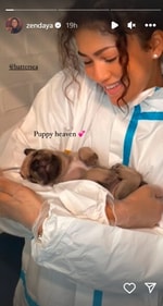 An adorable picture showing Zendaya with a puppy. (Instagram/@Zendaya) An adorable picture showing Zendaya with a puppy. (Instagram/@Zendaya)