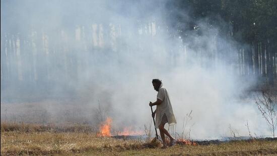 The total figure is nearly three times the fires recorded till October 6 last year, according to state data. (HT File)