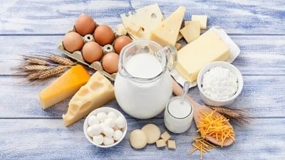 Vitamin B12: This micronutrient helps in metabolising fatty acids and amino acids. Dairy products and eggs help in providing the body with Vitamin B12. (Unsplash) Vitamin B12: This micronutrient helps in metabolising fatty acids and amino acids. Dairy products and eggs help in providing the body with Vitamin B12. (Unsplash)