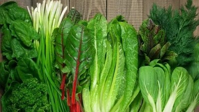 Magnesium: Found in abundance in green leafy vegetables, magnesium helps in regulating muscle contraction, blood pressure and insulin metabolism. (Unsplash) Magnesium: Found in abundance in green leafy vegetables, magnesium helps in regulating muscle contraction, blood pressure and insulin metabolism. (Unsplash)
