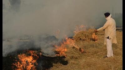 A farmer burns straw stubble in a paddy field on the outskirts of Amritsar . (AFP) A farmer burns straw stubble in a paddy field on the outskirts of Amritsar . (AFP)