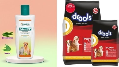 Amazon sale 2023: Treat your beloved pet with premium products. Amazon sale 2023: Treat your beloved pet with premium products.
