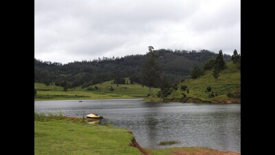Paradise lost: Kodaikanal (HT Photo) Paradise lost: Kodaikanal (HT Photo)