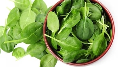 Oxalic acid: In Spinach/beet greens/beet root, it hinders calcium absorption.&nbsp; (Freepik)
