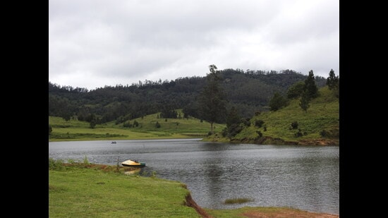 Paradise lost: Kodaikanal (HT Photo)