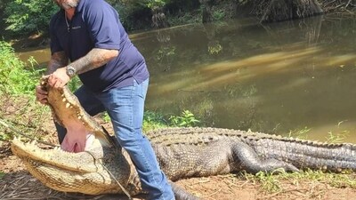 Four 800-pound paracords were used to pull the alligator up to the surface (Thomas Strawn/Facebook) Four 800-pound paracords were used to pull the alligator up to the surface (Thomas Strawn/Facebook)