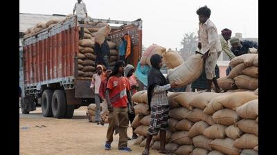 Though the state government had increased the labourers’ wages by 25 paise per bag, which is merely 0.93%, the labourers want a 25% hike as was promised earlier. (HT File)