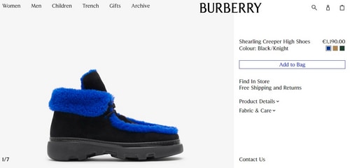 Burberry high shoes (burberry.com)
