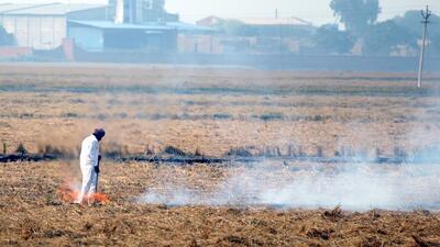 As per the data of the Haryana Space Applications Centre (HARSAC), so far 291 active fire locations have been detected from September 15 to October 9, against the 81 active fire locations reported last year and 101 in 2021. (HT File Photo)