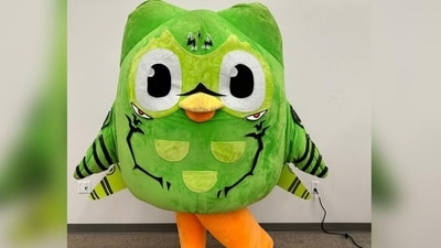 Duo's TikTok tale: From hoots to hollywood (duolingo/Instagram) (Instagram)
