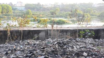 Officials said the two employees from the solid waste management department of the PMC were found throwing garbage along the river bank near Sambhaji bridge in the morning hours. Both the employees are class three employees and were on duty when the incident took place. (REPRESENTATIVE PHOTO)