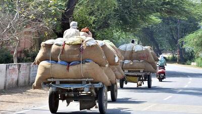 The price of paddy straw, which normally ranges from  ₹3,000 to  ₹4,000 per tractor, has surged to ₹5,000 to  ₹ 6,000 in Karnataka. (ANI)
