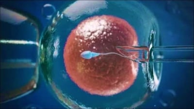 IVF (Twitter/Mz_enaj)