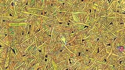 Brain Teaser: A needle is hidden in this haystack. Can you find it in 5 seconds? (Facebook/@thedudolf) Brain Teaser: A needle is hidden in this haystack. Can you find it in 5 seconds? (Facebook/@thedudolf)
