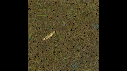 Brain Teaser: The image highlights the needle in the haystack. ( Gergely Dudás) Brain Teaser: The image highlights the needle in the haystack. ( Gergely Dudás)