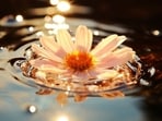 Focussing on the present moment, filling our hearts with gratitude and love, and giving up unrealistic expectations are the habits one can inculcate for a happy and stress-free life.