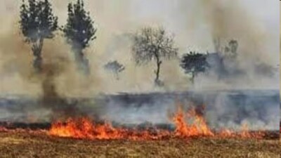 Haryana chief secretary directed DCs to take strict action to ensure the farmers do not burn the crop waste. (HT File) Haryana chief secretary directed DCs to take strict action to ensure the farmers do not burn the crop waste. (HT File)