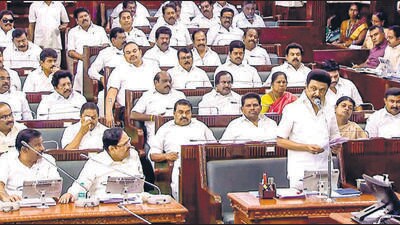 Tamil Nadu chief minister M K Stalin on Tuesday said that till October 8, , as many as 335 life prisoners have been released of which nine are Muslims. (ANI) Tamil Nadu chief minister M K Stalin on Tuesday said that till October 8, , as many as 335 life prisoners have been released of which nine are Muslims. (ANI)