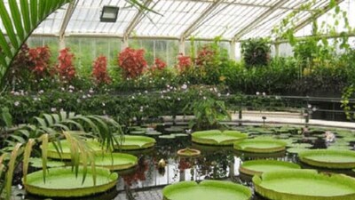 A picture from the Royal Botanic Gardens in UK