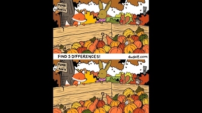 Brain Teaser: Find five differences in this picture. (Gergely Dudás) Brain Teaser: Find five differences in this picture. (Gergely Dudás)