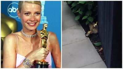 Gwyneth Paltrow won the Oscar on her first nomination.