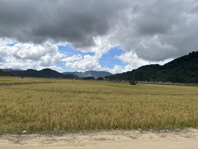 The breathtaking beauty of Ziro in Arunachal Pradesh (Mihir Chitre) The breathtaking beauty of Ziro in Arunachal Pradesh (Mihir Chitre)