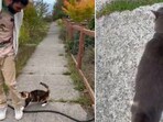 The image shows the man approaching a cat to ask it if he can pet it. 