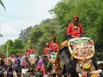 Elephants being brought for Mysore Dasara celebrations at Veeranahosahalli village, Mysuru district. (PTI) Elephants being brought for Mysore Dasara celebrations at Veeranahosahalli village, Mysuru district. (PTI)