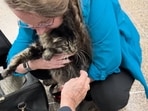 Pet mom holding the cat in her arms after 12 years. 