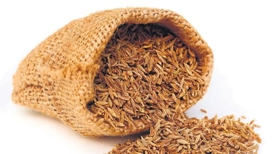Cumin (Jeera) is frequently used in Navratri recipes either whole or grounded to enhance the taste of dishes.&nbsp;&nbsp; (File Photo (Shutterstock))