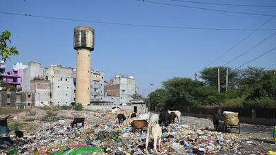 Garbage strewn across the road near Chakkarpur village in Gurugram on Thursday. (Parveen Kumar/HT)