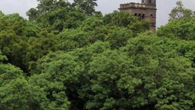 Ghorpade said that the PMC had  ₹3 crore budget earmarked for increasing the green cover. From this budget,  ₹68 lakh will be utilised at Lohegaon (REPRESENTATIVE PHOTO)