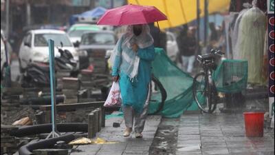 The MeT department has urged farmers to postpone harvesting of crops from Saturday to Wednesday. (HT File Photo)