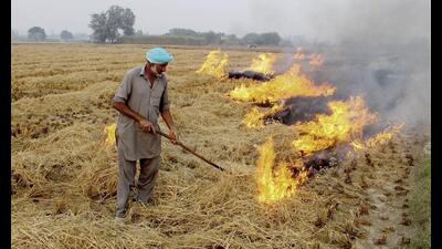 The total number of farm fire cases this season continue to remain highest since 2021. (File) The total number of farm fire cases this season continue to remain highest since 2021. (File)