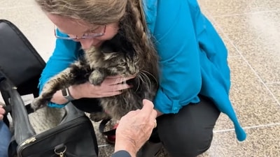 Pet mom holding the cat in her arms after 12 years. (Facebook/Riverside County Animal Services) Pet mom holding the cat in her arms after 12 years. (Facebook/Riverside County Animal Services)