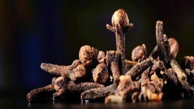 Cloves (Laung) have a strong, special taste and smell. People use them in small amounts to make dishes taste better.&nbsp; (File Photo)
