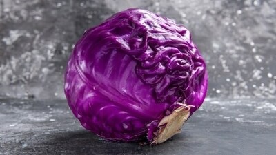 Low in calories, high in fibre and packed with amazing nutrients, purple cabbage can provide a strong dose of antioxidants and essential vitamins. It can help balance blood pressure and lower chances of heart diseases. Purple cabbage has vitamins C and K, calcium, manganese, and zinc that can benefit your bone health. Nutritionist Lovneet Batra on many benefits of purple cabbage. (Freepik) Low in calories, high in fibre and packed with amazing nutrients, purple cabbage can provide a strong dose of antioxidants and essential vitamins. It can help balance blood pressure and lower chances of heart diseases. Purple cabbage has vitamins C and K, calcium, manganese, and zinc that can benefit your bone health. Nutritionist Lovneet Batra on many benefits of purple cabbage. (Freepik)