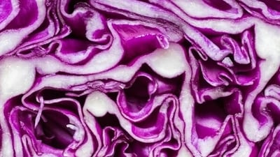 You can use purple cabbage in making soups, salads, stir-fries among other recipes. (Freepik) You can use purple cabbage in making soups, salads, stir-fries among other recipes. (Freepik)